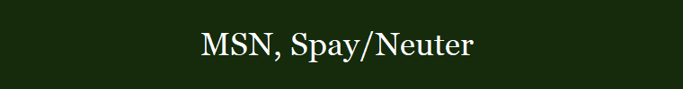 MSN, Spay/Neuter 